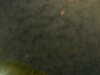 20241005000911-G0016638.JPG