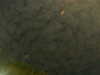 20241005000953-G0016641.JPG