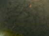 20241005001049-G0016645.JPG
