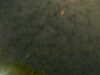 20241005001103-G0016646.JPG