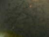 20241005001118-G0016647.JPG
