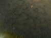 20241005001132-G0016648.JPG