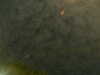 20241005001146-G0016649.JPG