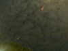 20241005001215-G0016651.JPG