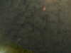 20241005001257-G0016654.JPG