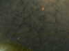 20241005001326-G0016656.JPG