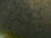 20241005001409-G0016659.JPG