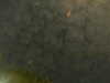 20241005001424-G0016660.JPG