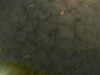 20241005001453-G0016662.JPG