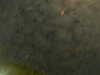 20241005001522-G0016664.JPG