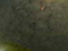 20241005001551-G0016666.JPG