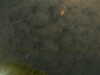 20241005001749-G0016674.JPG