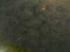 20241005001818-G0016676.JPG