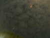 20241005001832-G0016677.JPG