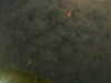 20241005001901-G0016679.JPG