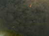 20241005002208-G0016692.JPG
