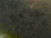 20241005002322-G0016697.JPG