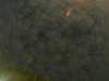 20241005002352-G0016699.JPG