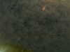 20241005002407-G0016700.JPG