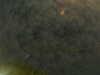 20241005002421-G0016701.JPG