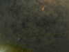 20241005002436-G0016702.JPG