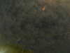 20241005002506-G0016704.JPG
