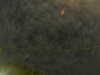 20241005002521-G0016705.JPG