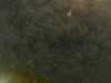 20241005002605-G0016708.JPG