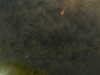 20241005002634-G0016710.JPG