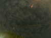 20241005002805-G0016716.JPG