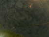 20241005002905-G0016720.JPG