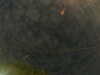 20241005003021-G0016725.JPG