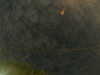 20241005003036-G0016726.JPG