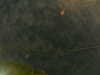 20241005003122-G0016729.JPG