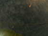 20241005003153-G0016731.JPG