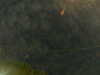 20241005003208-G0016732.JPG