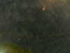 20241005003223-G0016733.JPG