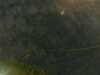 20241005003254-G0016735.JPG