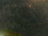 20241005003324-G0016737.JPG