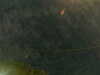 20241005003355-G0016739.JPG