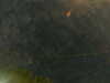 20241005003440-G0016742.JPG