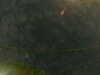 20241005003456-G0016743.JPG