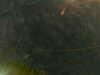 20241005003526-G0016745.JPG