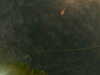 20241005003542-G0016746.JPG