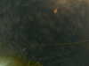 20241005003557-G0016747.JPG