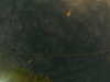20241005003627-G0016749.JPG