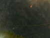 20241005003658-G0016751.JPG