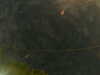 20241005003713-G0016752.JPG