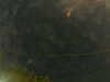 20241005003744-G0016754.JPG