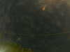 20241005003759-G0016755.JPG